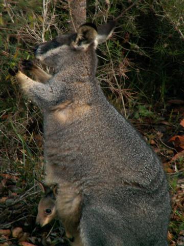 Konica Minolta Digital Camera Keeping A Watch On Our Environment 6