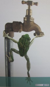 Water - More Precious Than Gold! 7 Water - More Precious Than Gold! 11
