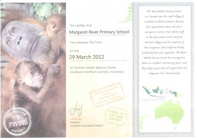 20120427153417568_0001 Mrps Adopts Orangutan Twins 11