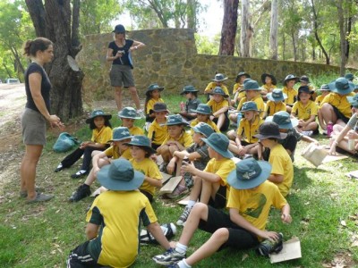 Living Or Non-Living - That Is The Question? 25 Living Or Non-Living - That Is The Question? 15