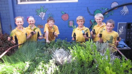 Bushfire Replanting 15 Bushfire Replanting 9
