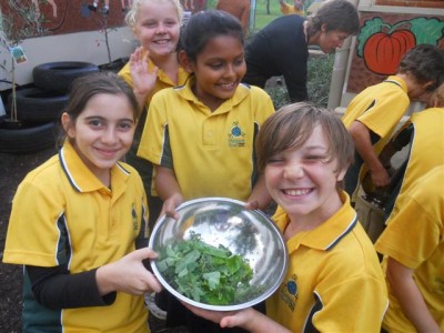 Our New Kitchen Is Popular 19