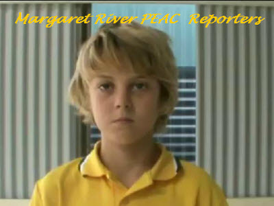 Roving Peac Reporters 2 Roving Peac Reporters 2