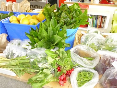 Kitchen Garden Market This Friday 17 Kitchen Garden Market This Friday 8