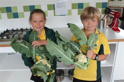 See Kg Produce At Show 13 See Kg Produce At Show 13