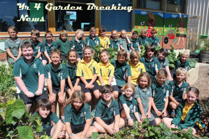 Chooks Lay Golden Eggs! 19 Chooks Lay Golden Eggs! 9