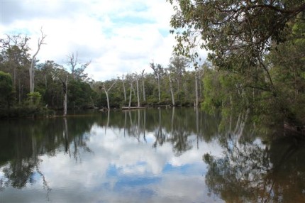 Year 3S Visit Our Margaret River 9 Year 3S Visit Our Margaret River 4