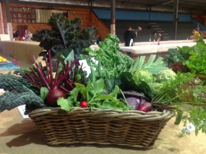 &Quot;Show&Quot;-Casing Our Kitchen Garden 1 &Quot;Show&Quot;-Casing Our Kitchen Garden 1