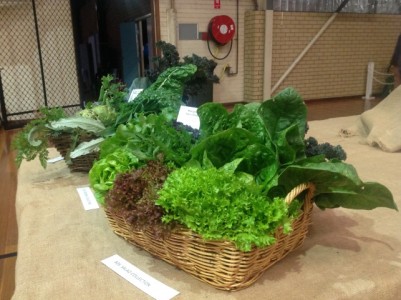 &Quot;Show&Quot;-Casing Our Kitchen Garden 9 Img_1204 (Small)