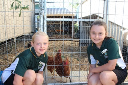Breaking Garden News 16 Meg And Bella