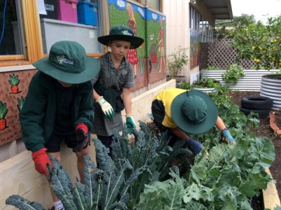 Breaking Garden News #2 1 Breaking Garden News #2 1