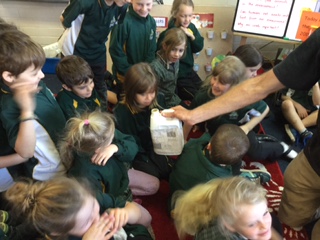 Room 8 Seed Scientists 17 Room 8 Seed Scientists 17