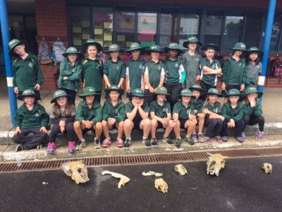 Room 15 Palaeontologists Enter The Ice Age 17 Room 15 Palaeontologists Enter The Ice Age 7