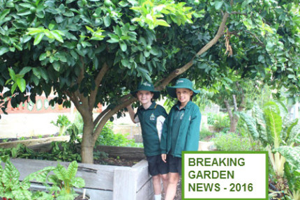 Breaking Garden News 30 Breaking Garden News 23