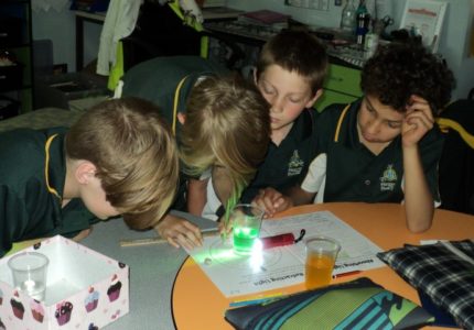 Stem Science Inquiry In T12 5 Stem Science Inquiry In T12 5