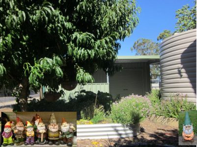 Was It The Kitchen Garden Gnomes...? 1 Was It The Kitchen Garden Gnomes...? 1