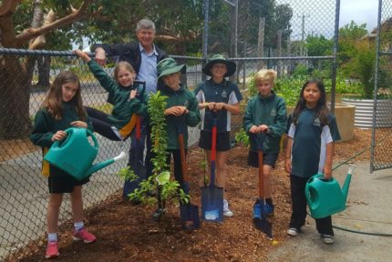 Stephanie Alexander Kitchen Garden 5