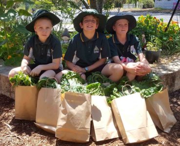 Stephanie Alexander Kitchen Garden 11