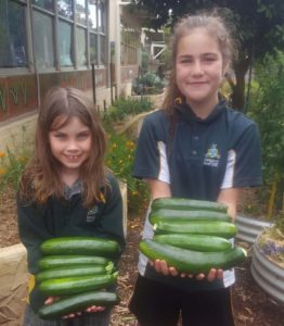 Stephanie Alexander Kitchen Garden 10