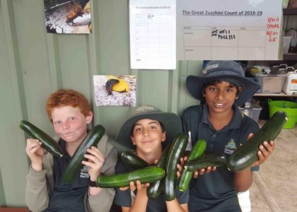 Stephanie Alexander Kitchen Garden 8