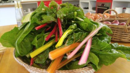 Stephanie Alexander Kitchen Garden 12