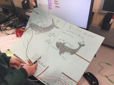 Digital Technologies 9