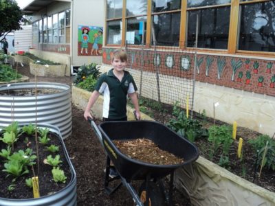 Stephanie Alexander Kitchen Garden 3