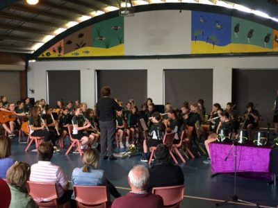 Thank You To Our Volunteers! 16