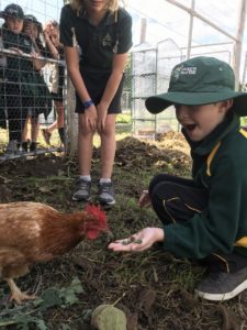 Stephanie Alexander Kitchen Garden 7