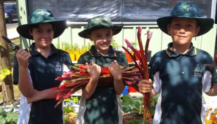 Stephanie Alexander Kitchen Garden 13