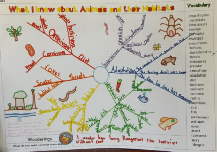 Graphic Organisers 3