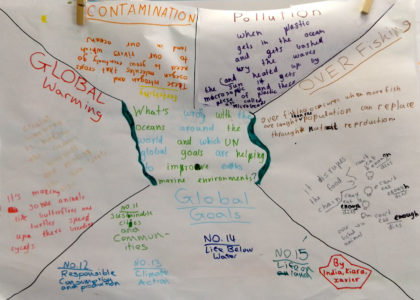 Sustainable Development Goals 5