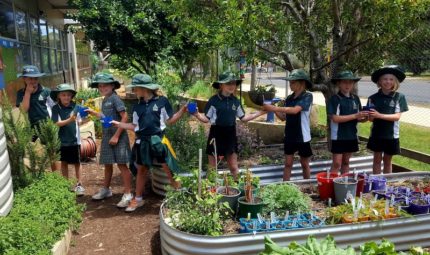 Stephanie Alexander Kitchen Garden 1