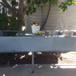 A New Hybrid For The Kitchen Garden (Art And Garden Cross-Collaboration) 4 A New Hybrid For The Kitchen Garden (Art And Garden Cross-Collaboration) 4