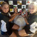 A New Hybrid For The Kitchen Garden (Art And Garden Cross-Collaboration) 10 A New Hybrid For The Kitchen Garden (Art And Garden Cross-Collaboration) 10