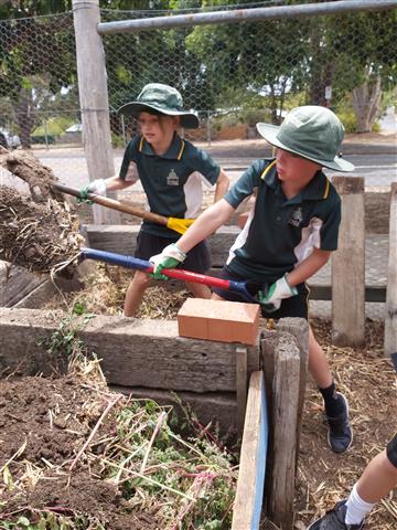Kitchen Garden News From T5 10 Kitchen Garden News From T5 10