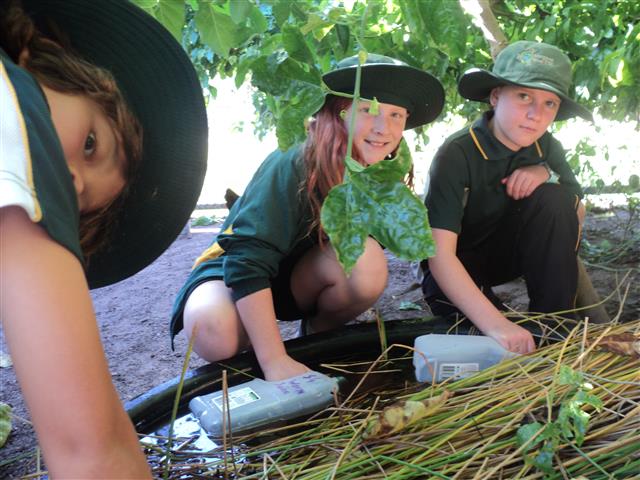 Year 5S In The Kitchen Garden 9