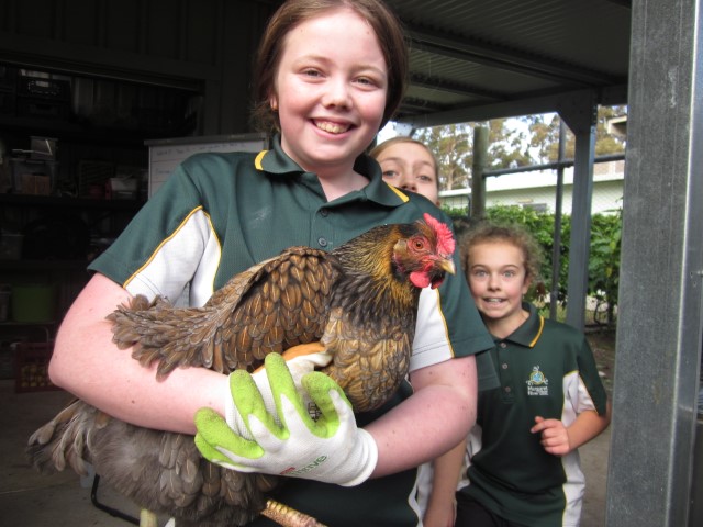 Kitchen Garden News By T10 31 Kitchen Garden News By T10 31