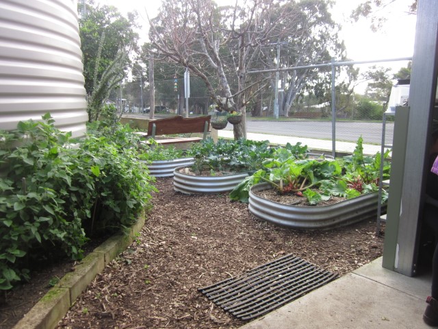 Kitchen Garden News By T10 36 Kitchen Garden News By T10 36