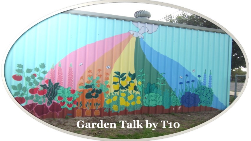 Kitchen Garden News By T10 30 Kitchen Garden News By T10 30