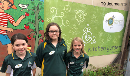 Kitchen Garden News From T9 23