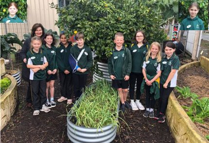 Introducing Our Year 5 Kitchen Garden Journalists 1 Introducing Our Year 5 Kitchen Garden Journalists 1