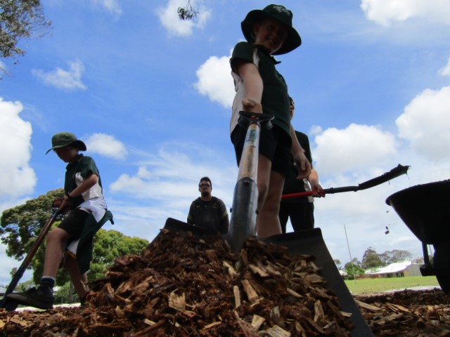 Kitchen Garden News From T9 24 Kitchen Garden News From T9 24