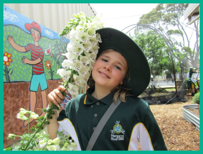 Kitchen Garden News From T9 28 Kitchen Garden News From T9 28