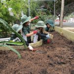 Kitchen Garden Journalists For 2021 23