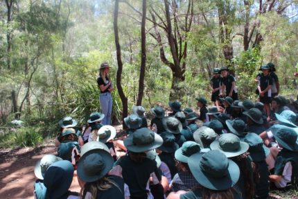 2021 Year 3 Bioblitz At The Weir 24