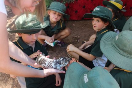 2021 Year 3 Bioblitz At The Weir 9