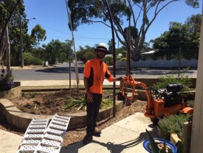Kitchen And Garden Come Back To Life 4 Kitchen And Garden Come Back To Life 4