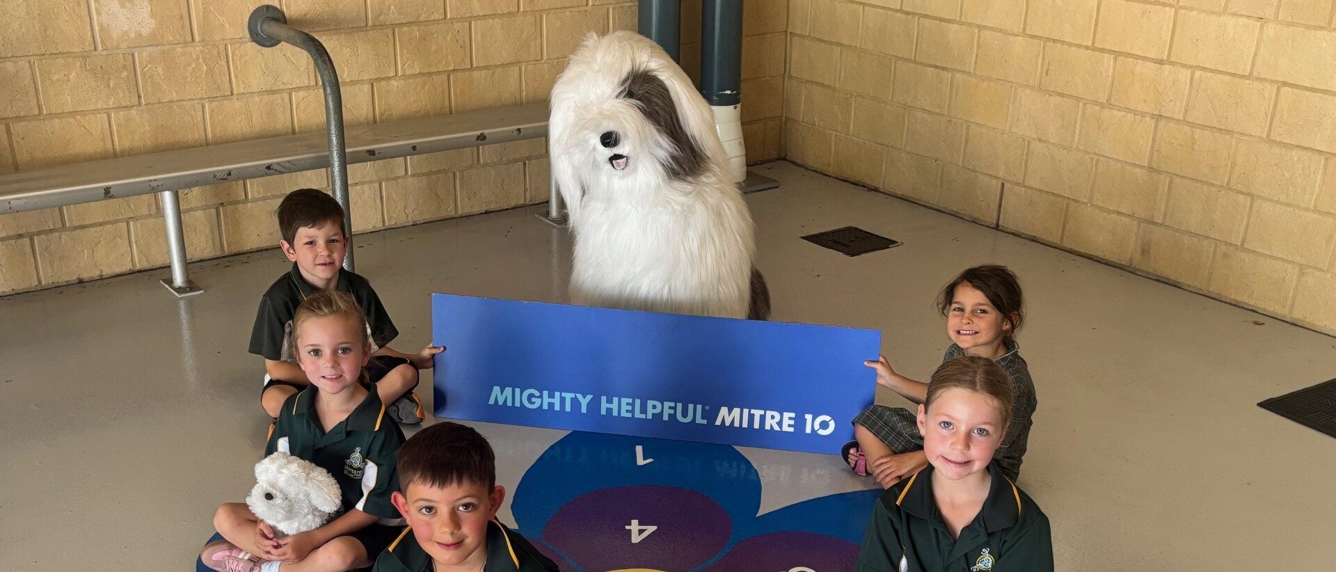 A Maths Dream Come True 5